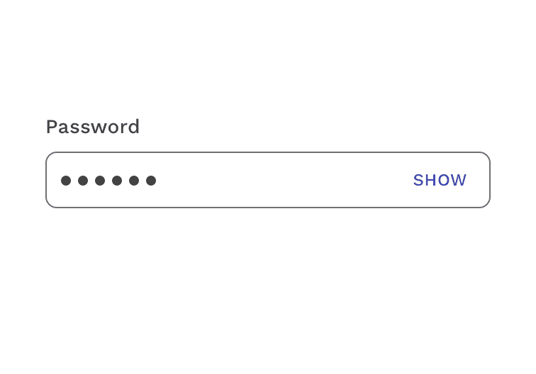 password input example